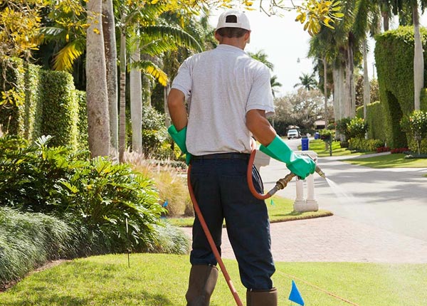 About Annandale NJ Pest Control Pros